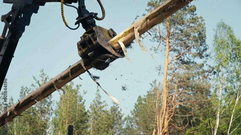 Stockvideon Forestry Crane Machinery For Transportation Of Processed