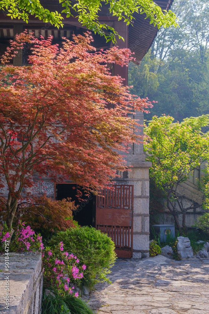 Obraz premium Spring scenery of Yellow Crane Tower Park in Wuhan, Hubei