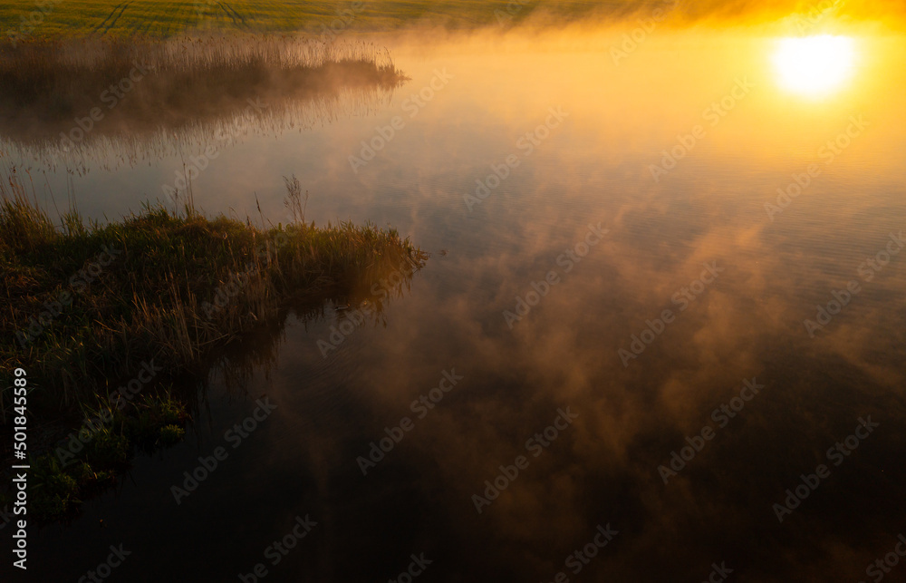 Spring landscape with the morning fog rising above a beautiful lake next to a rapeseed field. Agriculture in amazing parts of the world. Foggy aerial view during sunrise.