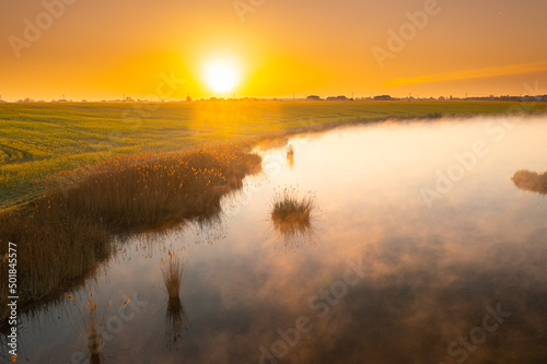 Spring landscape with the morning fog rising above a beautiful lake next to a rapeseed field. Agriculture in amazing parts of the world. Foggy aerial view during sunrise.