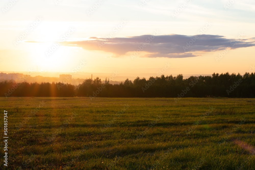 Obraz premium Picturesque lanscape with trees and wood in sunset lights with cloudy sky. Dawn and sunrise light beams in summertime.