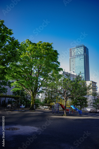 新緑の公園と青空 © Tsubasa Mfg