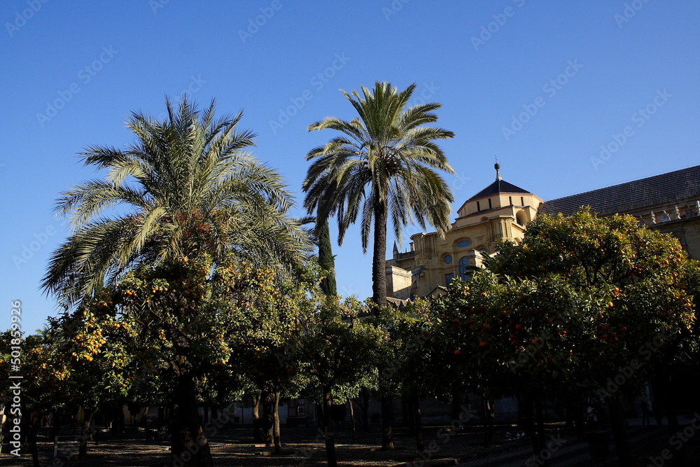 Cordoba, la Mezquita, patio de los Naranjos