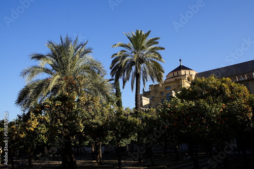 Cordoba, la Mezquita, patio de los Naranjos