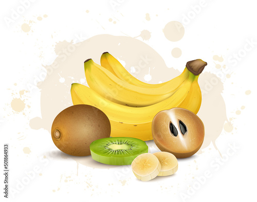 Sapodilla and banana fruit vector illustration with kiwi slices isolated on white background