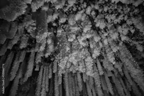 icicles background winter seasonal frozen outdoor roof