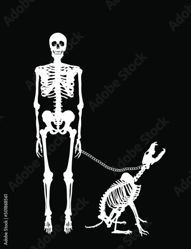 Scary horror dead man with dead dog on leash, doomsday after nuclear war. Human skeleton vector silhouette illustration isolated on black background. Man bones body structure symbol. Halloween night.