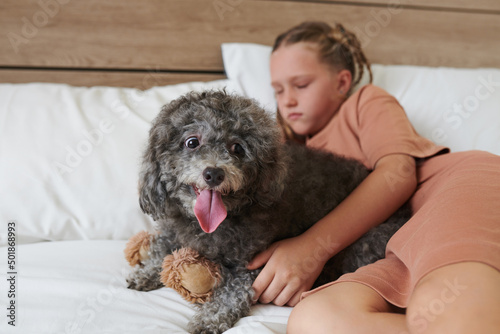 Adorable small curly dog sticking out tongue when lying on bed next her sleeping owner