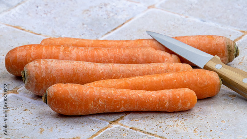 several raw carrots isolated on a table with a knife