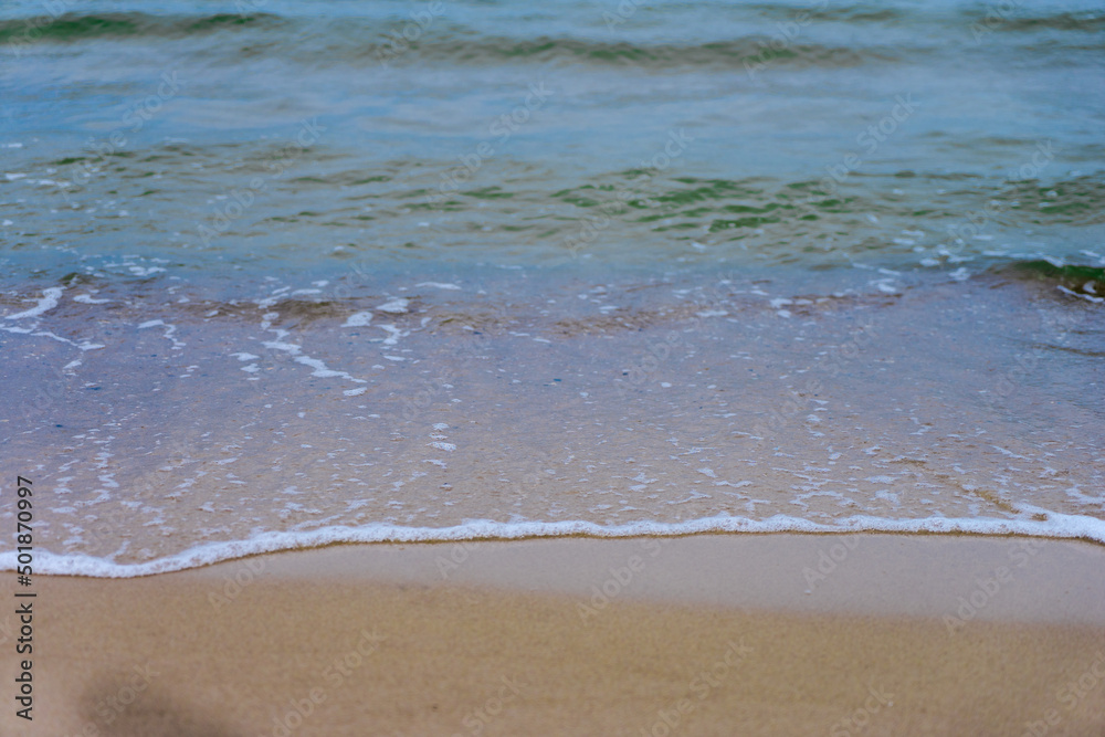piasek nad morzem na plaży leżą muszle piasek nad morzem na plaży leżą muszle