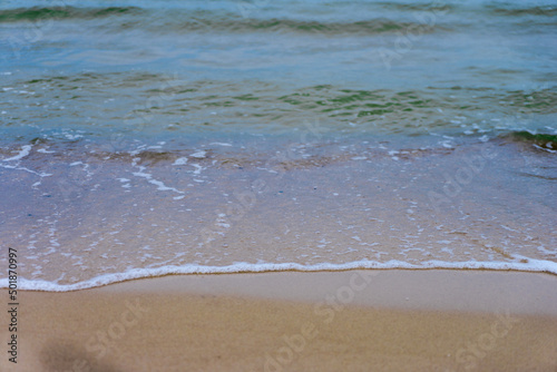 Fototapeta Naklejka Na Ścianę i Meble -  piasek nad morzem na plaży leżą muszle