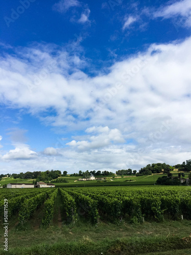 Fotografering Saint Emilion Bordeaux region, France