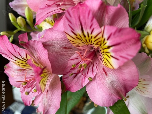 bouquet of pink flowers