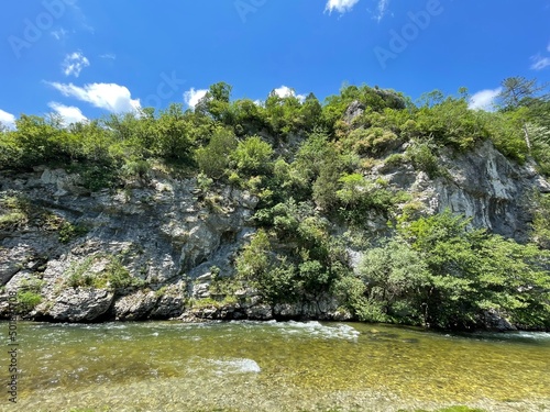 mountain river in the summer