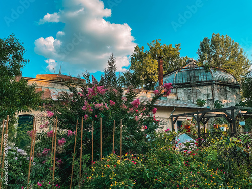 green house garden