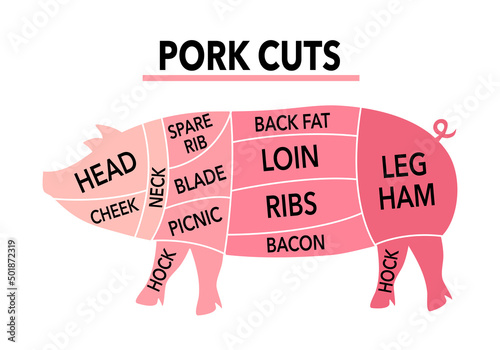 Pork cuts meat with labels in flat design on white background. Butcher shop.