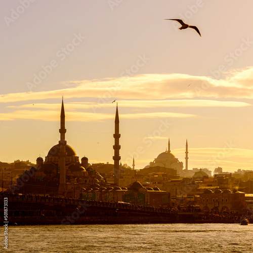 Canvas Print istanbul-turkey