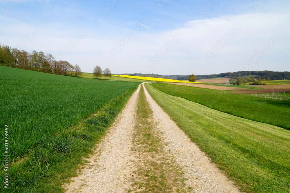 Obraz premium beautiful sunlit spring landscape with endless fields of the Bavarian countryside in Winterbach (Germany, Bavaria, Swabia) 