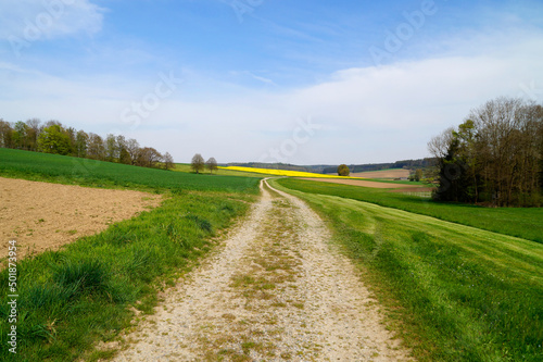 beautiful sunlit spring landscape with endless fields of the Bavarian countryside in Winterbach  Germany  Bavaria  Swabia 