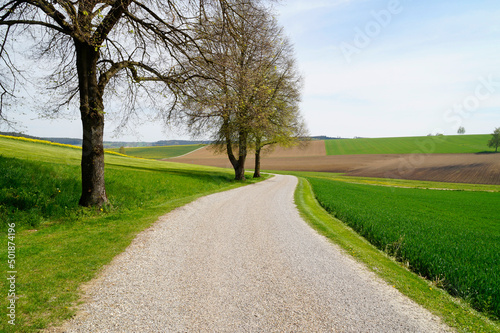 a road leading through the picturesque German (Bavarian) countryside on a sunny spring day 