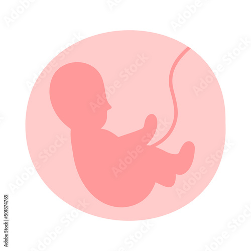 Development of fetus in uterine. Gynecology, reproductive.