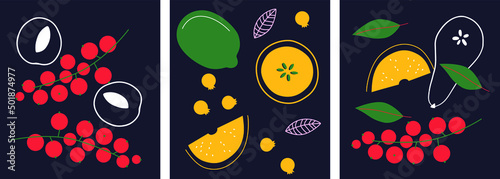 Abstract appetizing fruit and berries collection. Decorative abstract horizontal banner with colorful doodles. Hand-drawn modern illustrations with fruit and berries, abstract elements. Abstract set