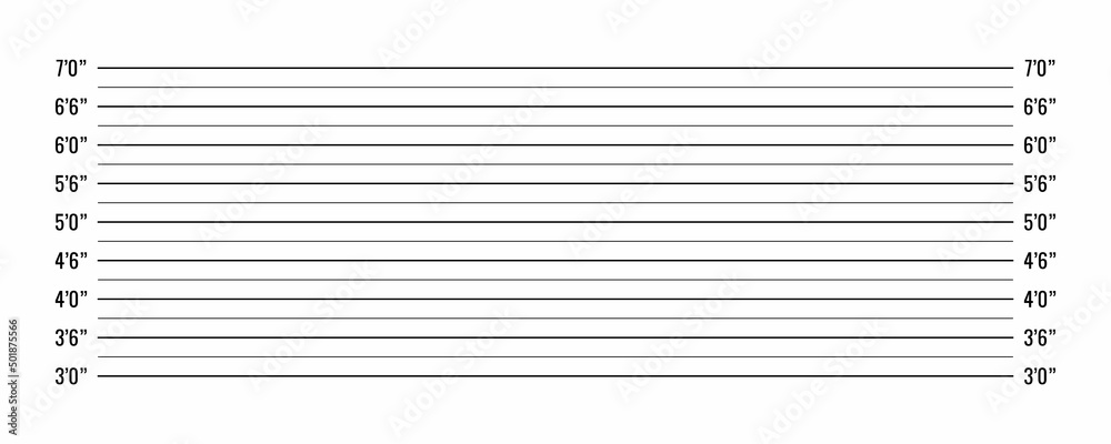 Vector illustration police mugshot isolated on white background. Police  lineup background with inch scale. Police mugshot board template. Векторный  объект Stock | Adobe Stock