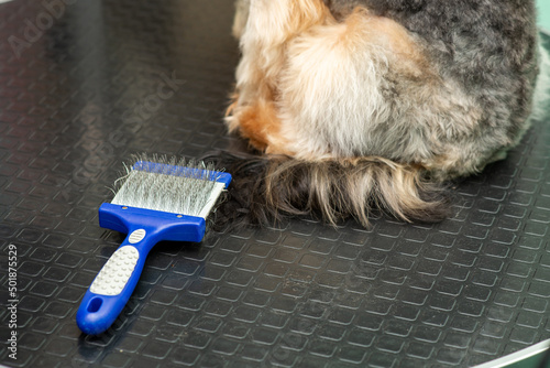 brush for animal hair in a grooming salon, close-up photo