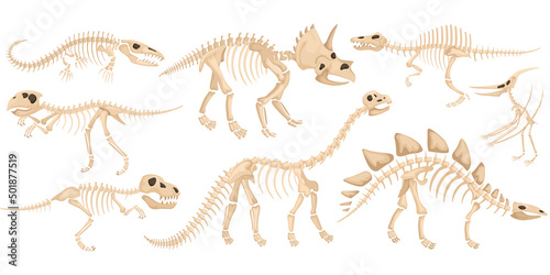 Dinosaur Skeleton Icon Set Fototapet