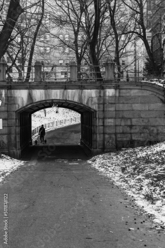 PUENTE EN BLANCO Y NEGRO EN CENTRAL PARK, NUEVA YORK