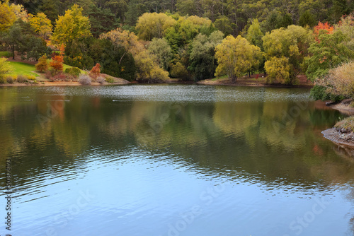 Autumn landscape with a lake on the foreground many autumn yellow and red trees on background