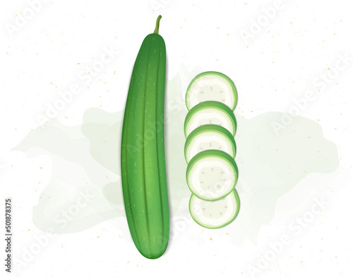 Sponge Gourd green vegetable with sponge gourd slices from top view