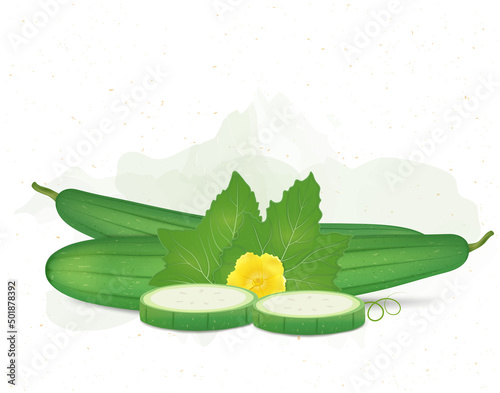 Sponge Gourd Green Vegetable with sponge gourd slices with green leaf and flower