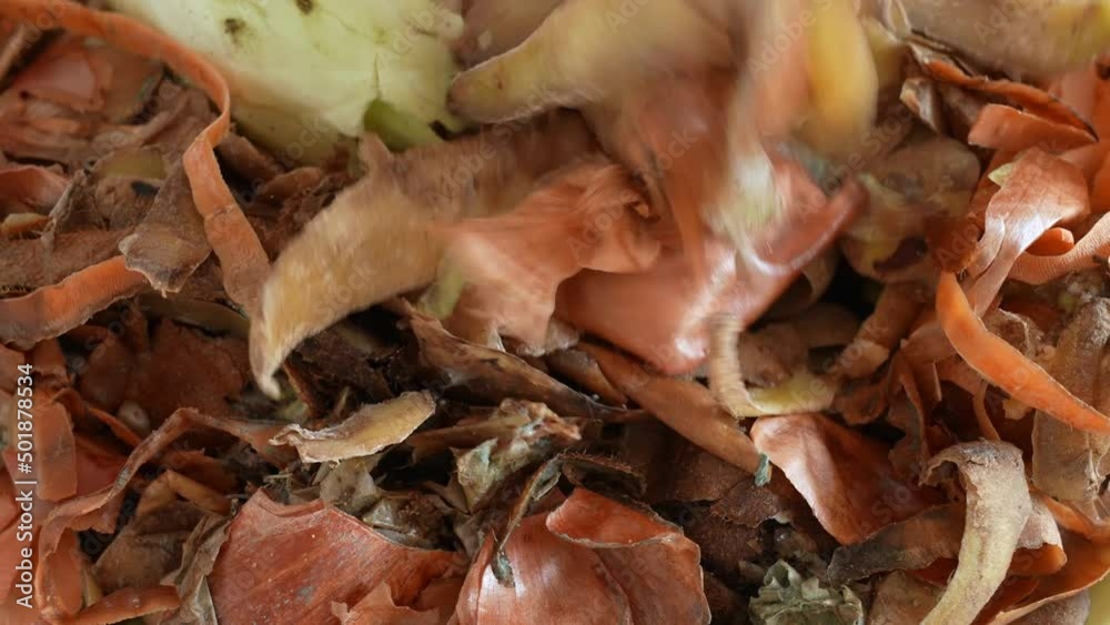 Close up view 4k video of pile of different organic wastes after cooking food at home. Organic waste for composting concept. Peels of potatoes, onion, white cabbage and other vegetables Close up view 4k video of pile of different organic wastes after cooking food at home. Organic waste for composting concept. Peels of potatoes, onion, white cabbage and other vegetables