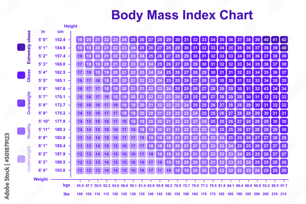 Vetor De Body Mass Index BMI Chart BMI Calculator To Checking Your vetor-de-body-mass-index-bmi-chart-bmi-calculator-to-checking-your