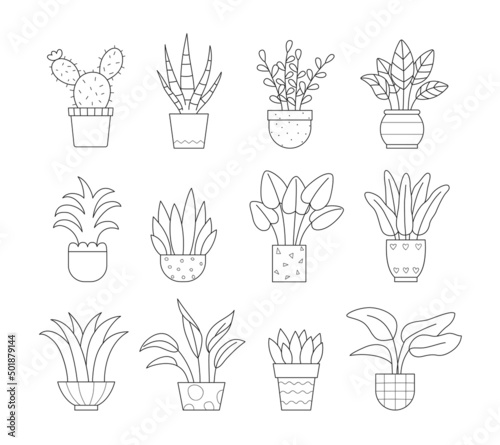 Set of house plants in the pots. Isolated vector linear illustration on white background. © Yuliya Lins
