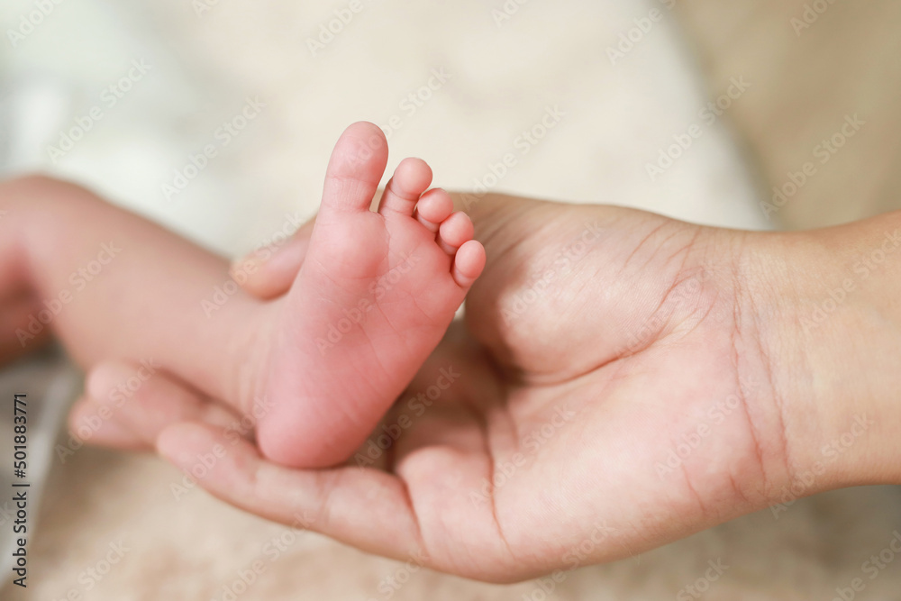 mother and father take care newborn with warmth mother and father take care newborn with warmth
