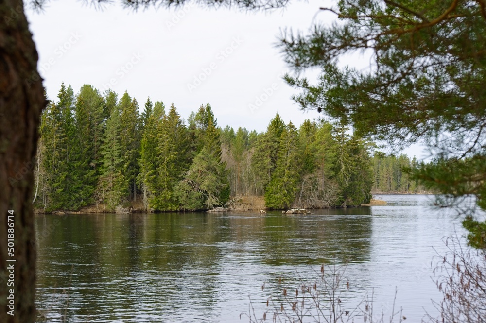 The river Västerdalälven in the woods of Dalarna in Sweden.