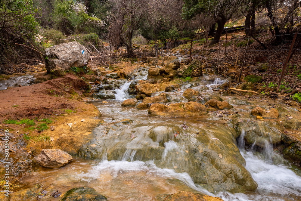 Parod or Farod Falls in northern Israel is a beautiful place to hike in the Winter and Spring.
