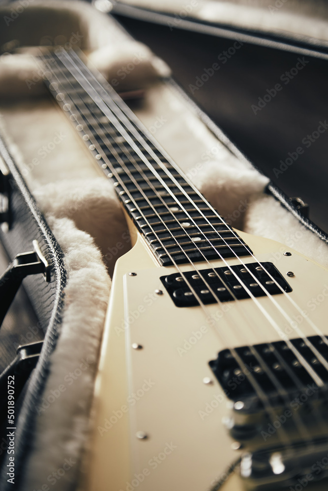 Fototapeta premium Electric guitar in the case