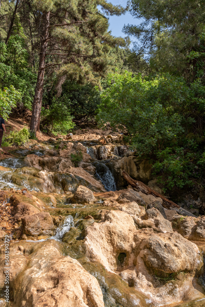 Parod or Farod Falls in northern Israel is a beautiful place to hike in the Winter and Spring.
Parod or Farod Falls in northern Israel is a beautiful place to hike in the Winter and Spring.