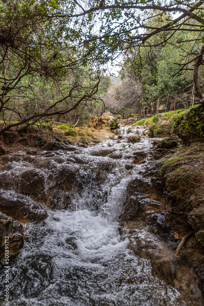 Parod or Farod Falls in northern Israel is a beautiful place to hike in the Winter and Spring.
Parod or Farod Falls in northern Israel is a beautiful place to hike in the Winter and Spring.