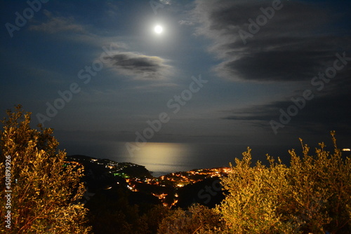 Leinwand Poster seaview by night and fullmoon at the costa brava by cala canyelles