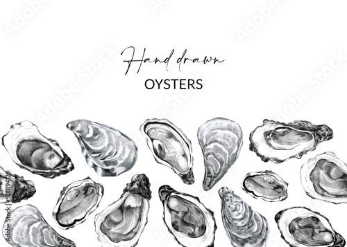 Design with hand drawn oysters