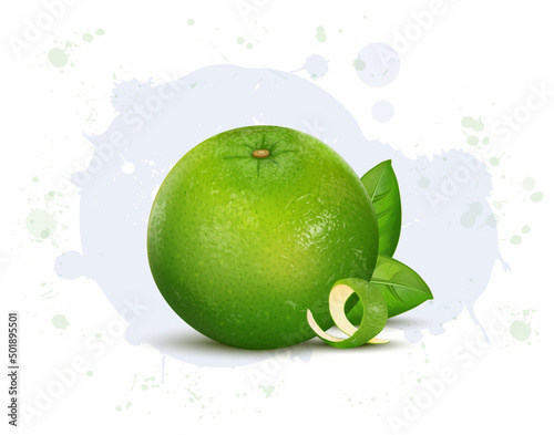 Fresh green Sweet lemon fruit vector illustration on white background