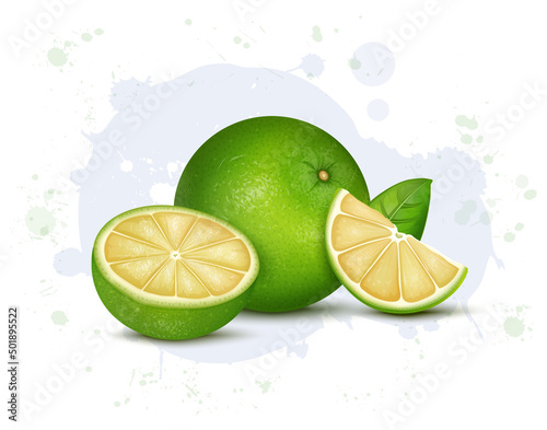 Sweet Lemon Fruit vector illustration with half piece of fruit and slices