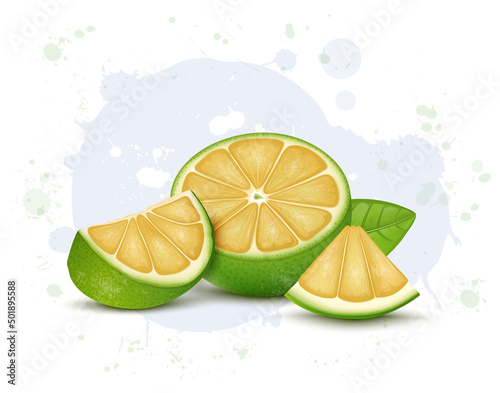 Half piece of Sweet lemon fruit vector illustration with fruit slices and green leaf photo