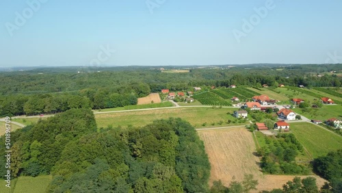Settlement in the green forest of the Moravci photo