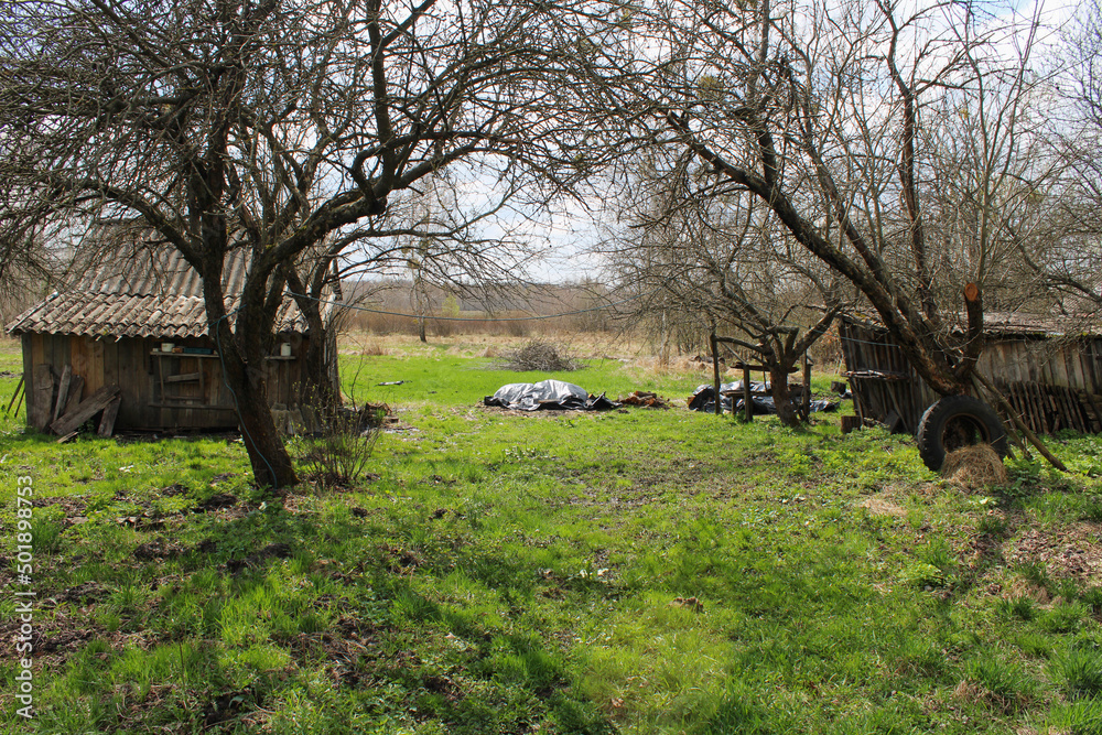 Beautiful green landscape, wooden outbuildings and recreation
Beautiful green landscape, wooden outbuildings and recreation