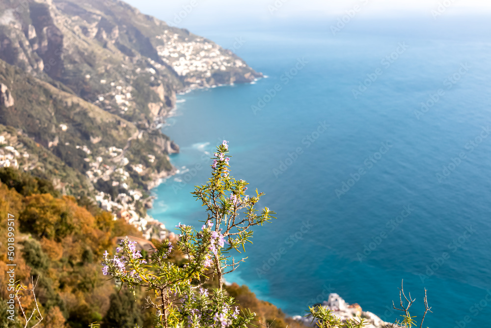 Selective soft focus on wild thyme blowing in wind with panoramic view on Positano appearing from clouds. Hiking in Lattari Mountains, Apennines, Amalfi Coast, Campania, Italy, Europe. Misty vibes